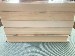Lot Of 5 Karen Kingsbury Books See Details for Titles see photos for condition.