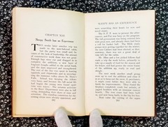 Buffalo Roost, F. H. Cheley, 1913, First Edition, Hardcover, Antique