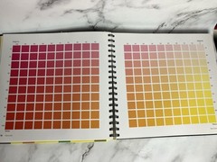 Process Color Manual 24,000 CMYK Combinations For Design (D)