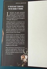 Devney Perry Shield of Sparrows Hardcover Novel, Red Tower Books Fiction