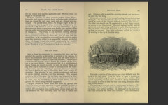 Camp Life in the Woods and the Tricks of Trapping and Trap Making -E-Book CD-ROM