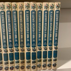 Illustrated Encyclopedia of Animal Life 16 Volume Set 1961 Greystone Press HC