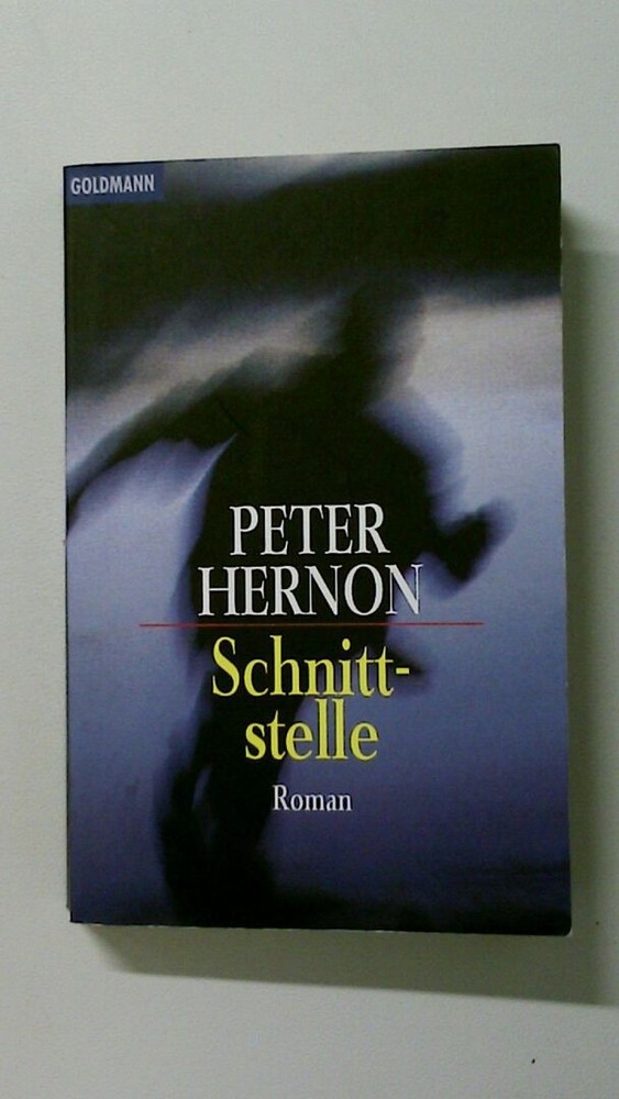 117859 Peter Hernon SCHNITTSTELLE Roman