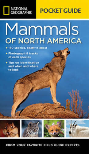 National Geographic Pocket Guide to the Mammals of North America – GOOD