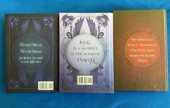 Read Desc OOP Indie Serpent & the Wings of Night + Ashes & the Star Cursed King