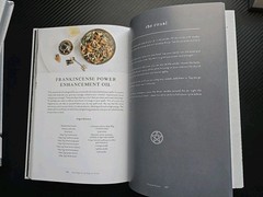 Plant Magic for the Beginner Witch : An Herbalistæs Guide to Heal, Protect an…