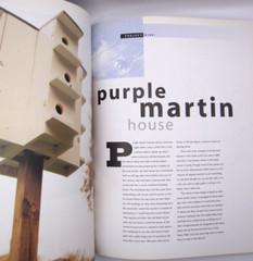 Best Birdhouses for Your Backyard Popular Woodworking Project Book Full Color