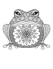 Best frog Coloring Book Save The Frog 108 Pages 8.5 x 11 for All Ages