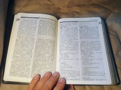 新譯和合聖經 New Chinese Version Union Parallel Bible Worldwide Bible Society