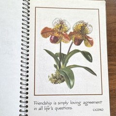 Vintage “Springs” Gift Book Lot (3) Joy Humor Friendship Decorative Hardcover
