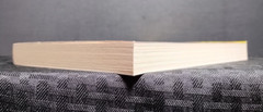 40 Days Through Revelation Ron Rhodes 2013 Prophecy Bible Study PB VG