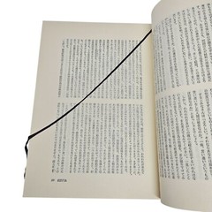 Freud Collected Works Vol 10 Translated into Japanese Hardcover Mylar Dustjacket