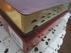 NASB Charles Stanley Life Principles Bible- Large Print INDEXED Burgundy LS-RARE