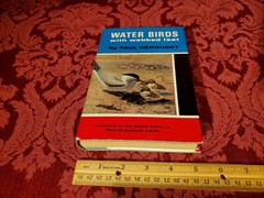 Water-Birds With Webbed Feet, Paul Geroudet, Blandford Press, HC / DJ, 1965 1st