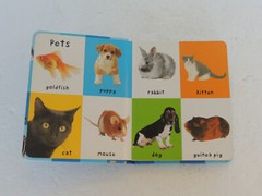 This Little Piggy: Other Favorite Action Rhymes by Tiger Tales+ FIRST 100 ANIMAL