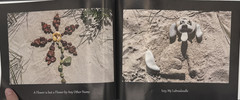 Rock On, Rocks and Things From My Beach by Christine Norman, SIGNED HC, B198