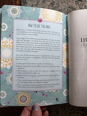 NIV, Journal the Word Bible,Pink Floral Cloth : Reflect, Journal.