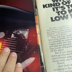 PLAYBOY APRIL 1983 Carry Lee Christina Ferguson Paul Newman Pamela Bellwood