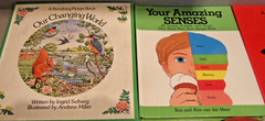 7 CHILDREN’S BOOKS LOVE BUGS, WHOSE HOUSE, AMAZING SENSES, CLOCK SHOP, 10 IN