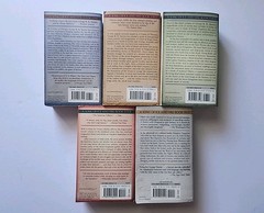 Game of Thrones Book Series George R. R. Martin A Song of Fire and Ice Paperback