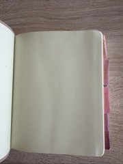 Hosanna Revival Bible New Living Translation Notetaking Wide Margins NLT