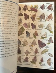 Field Guide to Western Butterflies by Paul A. Opler (1999, Trade Paperback)