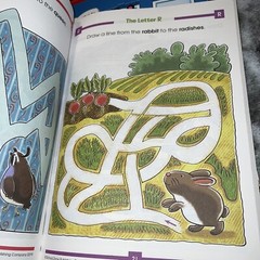 Mazes: Animals: Ages 4-6 (Activity Zone) by Jennifer Neumann Brand New 2004