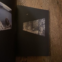 Bill Viola, Going Forth By Day, Guggenheim, Art Exhibition Catalog, 2002, HC/DJ