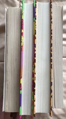 Dork Diaries By Rachel Renee Russell Lot Of 4 Miscellaneous Hardback Books