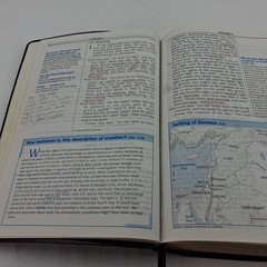 The Quest Study Bible New International Version Bonded Leather Large Print