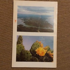 Ellis & Chester Spring Wildflowers Land Between the Lakes 1971 PB Illustrated
