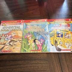 The Magic School Bus Chapter Book Lot Of 10. #5,8-16