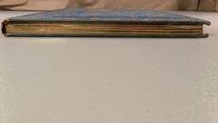 Birds and Blossoms Fidelia Bridges 1887 Gilt Victorian Gift Book Antique Beauty