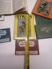 Vintage 1930s Lot Of Bird Identification Bird Watching Books