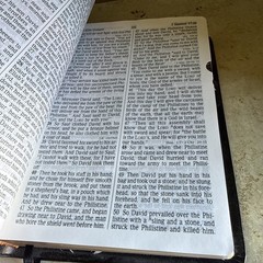 Holy Bible NKJV RLE Giant Print Thomas Nelson 334