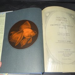William T. Innes – Goldfish Varieties & Tropical Aquarium Fishes – 1931