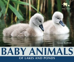 Baby Animals of Lakes and Ponds (Nature’s Baby Animals)