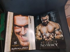 WWE: THE ULTIMATE POSTER COLLECTION (2015) Missing 1 Page (2 Posters)