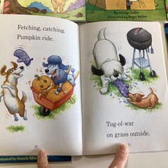 Step Into Reading Level 2 Reader Kindergarten 1st 2nd Grade 16 Book Lot