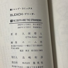 Bleach Vol. 1 – The Death and the Strawberry – Jump Comics Japanese USA Seller!