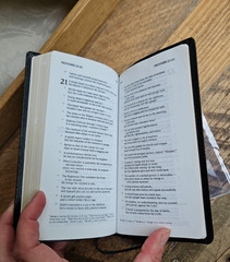 OOP HCSB UltraTrim New Testament w Psalms/Proverbs Checkbook size Bonded Leather
