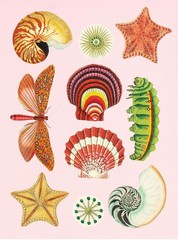 The Antiquarian Sticker Book: Over 1,000 Exquisite Victorian Stickers (The