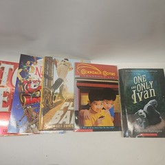 Lot of 16 Childrens Chapter Books Ages 8-12 (3-6 grade) – Scholastic Publishing