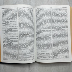 New American Bible Saint Joseph Edition 611/10B – Catholic
