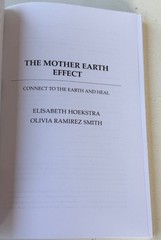 MIXED Set of 3 Paperback Books „Identity, Earthing, Mother Earth Effect” (EUC)