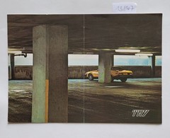 Triumph TR 7 : Prospekt Niederlande (sehr gut) : British Leyland Nederland: