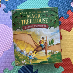 Mary Pope Osborne Magic Tree House Ser. Books 1-28 Box Set 2008 UK TP