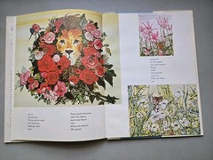 THE LOVE OF TIGER FLOWER 1980 HC DJ 1ST Edition Robert Vavra Fleur Cowles