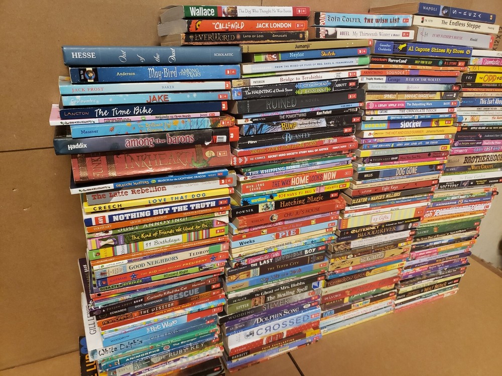 Lot of 100 Chapter INSTANT LIBRARY Children RANDOM~MYSTERY BOX~UNSORTED BOOK MIX