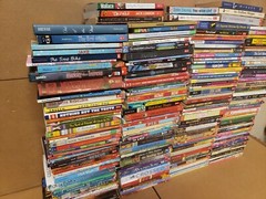 Lot of 100 Chapter INSTANT LIBRARY Children RANDOM~MYSTERY BOX~UNSORTED BOOK MIX